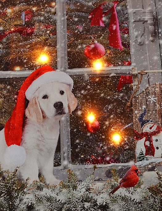 LED Bild aus Canvas Motiv: Hund am Fenster 
4 LED