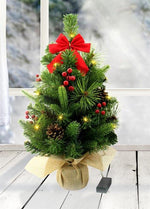 LED Weihnachtsbaum  mit 15 LED 
Lichterkette im Topf in Jute 
gewickelt D:25cm H:50cm