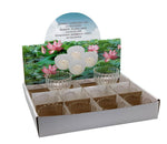 Schwimm Teelicht Glas Klar D:6cm H:3.5cm - 12 Stück