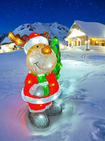 LED Outdoor Acryl Rentier im Santa Gewand mit 50 LED cool white