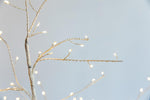 LED Birken Baum Outdoor H:120cm
mit 192 LED Microlight umringt
Warm weisses Licht