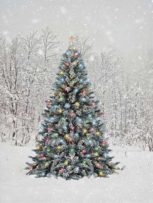LED Bild aus Canvas 
1 LED + 30 Fibre Optics LED
Motiv:Tannenbaum