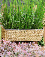 Blumenkübel KAWALA Rattan 60 cm Sandbeige