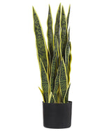 Kunstpflanze im Blumentopf 63 cm SNAKE PLANT