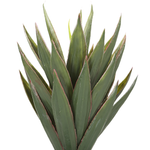 Kunstpflanze im Blumentopf 52 cm biegbare Zweige YUCCA