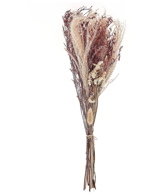 Trockenblumen rosa / naturfarben 50 cm ZAMORA