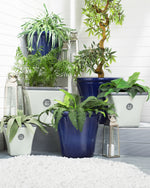 Set mit 2 Blumentöpfen ELATEIA Stein 32 cm Weiss