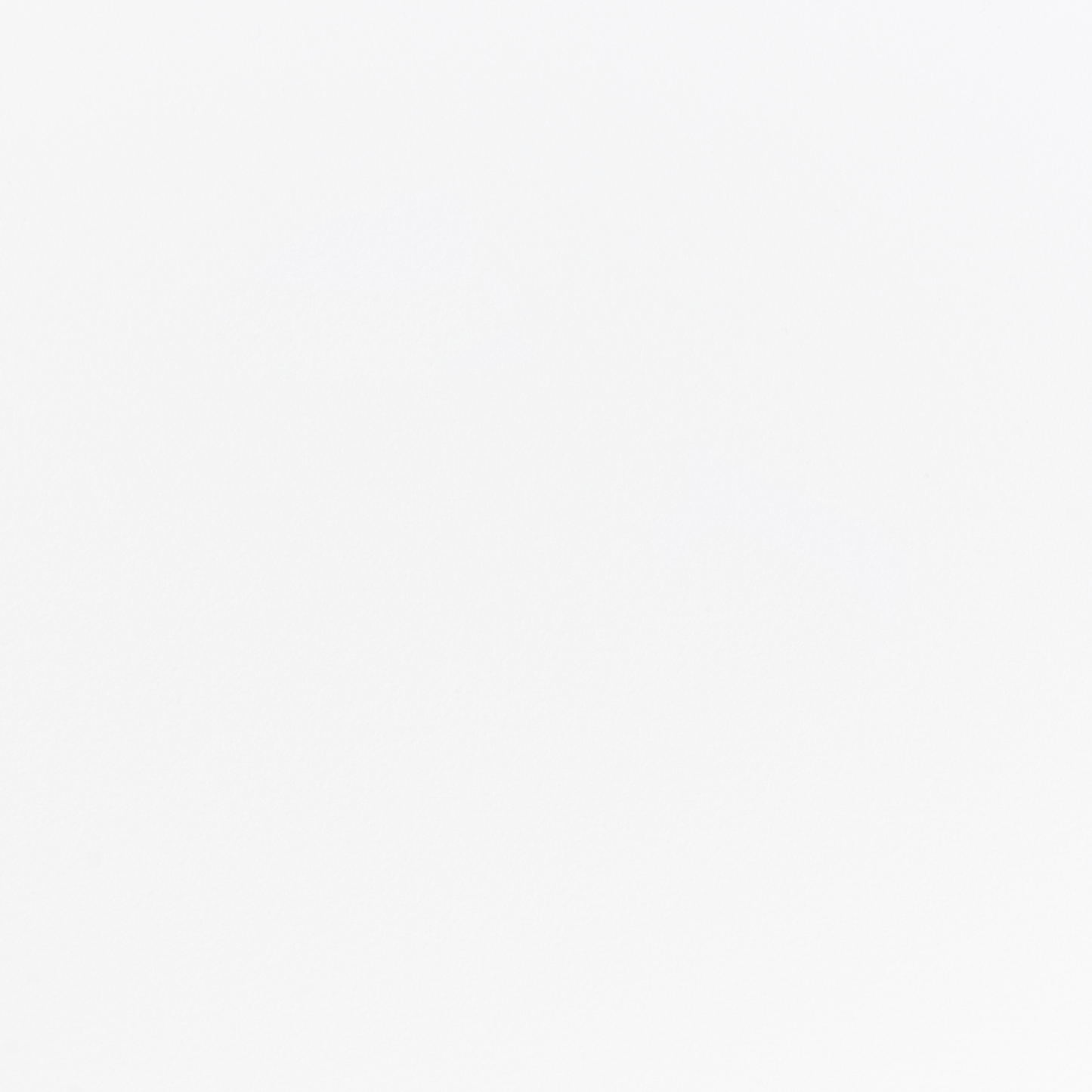 Esszimmerstuhl 2er Set FONDA Weiss