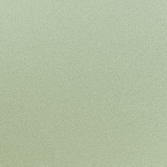 Esszimmerstuhl 2er Set FONDA II Hellgrün