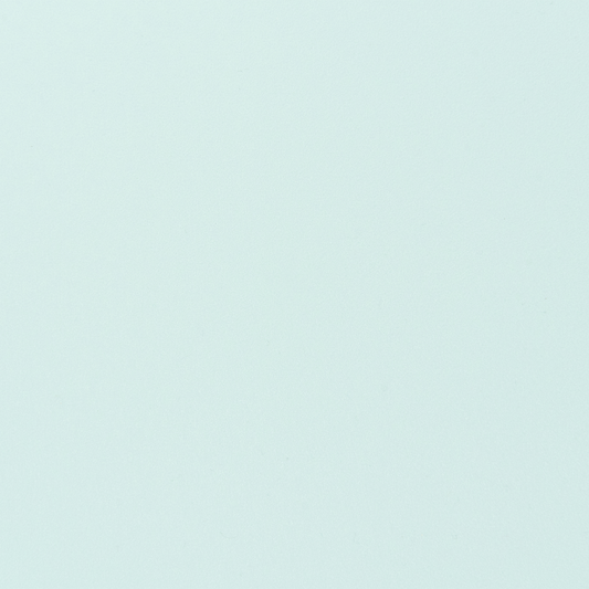 Esszimmerstuhl 2er Set MILACA Mintgrün