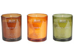 Duftkerzen 3er Set SHEER JOY Sojawachs Fruchtige Note Frische Note