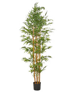 Kunstpflanze im Blumentopf 220 cm BAMBOO