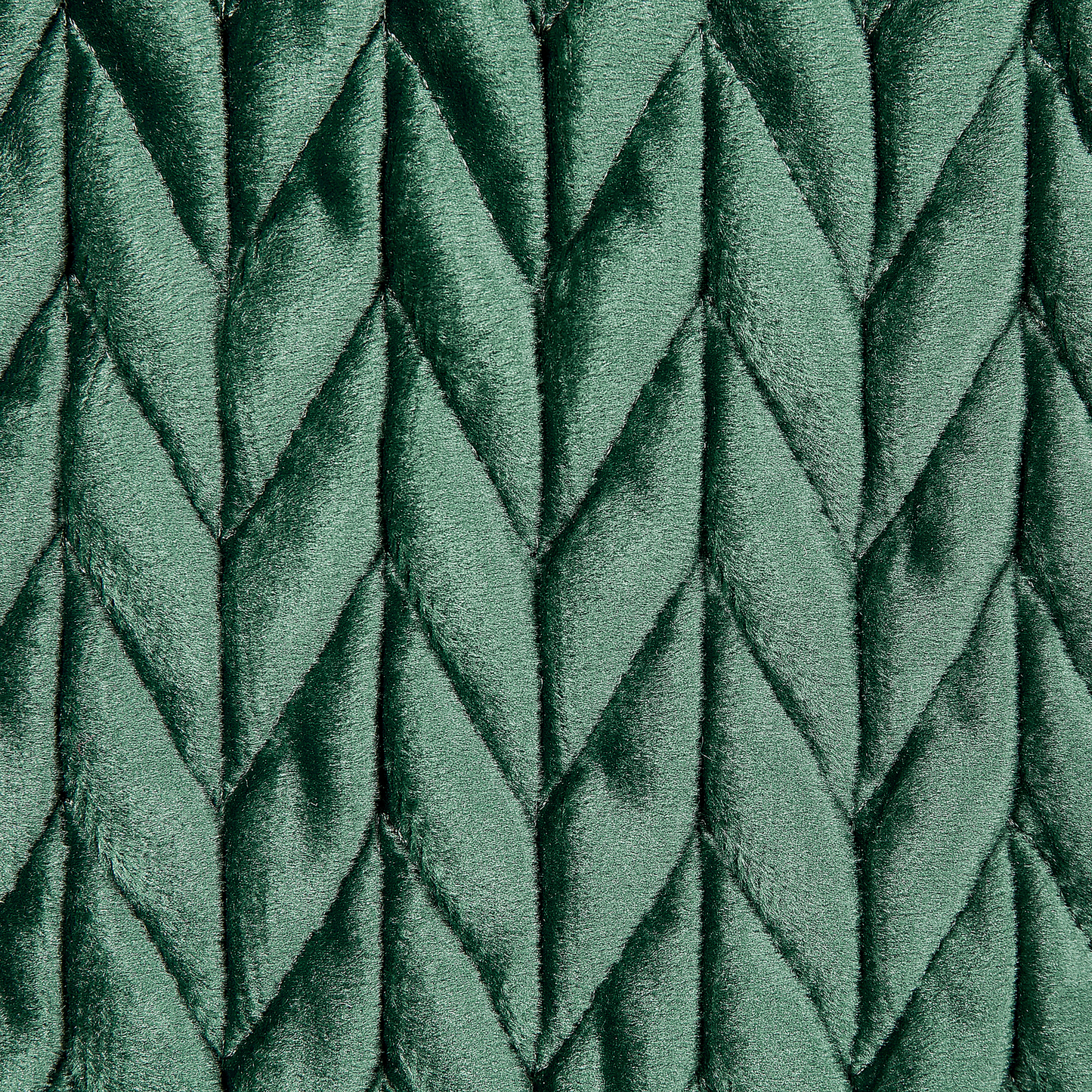 Dekokissen 2er Set ECLIPTA 45 x 45 cm Grün Ohne Muster