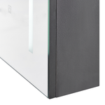 Bad-Spiegelschrank LED CAMERON 40 cm 60 cm Schwarz