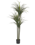Kunstpflanze im Blumentopf 198 cm DRACAENA ANITA