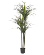 Kunstpflanze im Blumentopf 198 cm DRACAENA ANITA