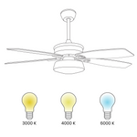 Deckenventilator mit Licht LOGAN mit Fernbedienung Weiss