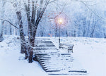 LED Bild aus Canvas
Motive: verschneiter Park
1 LED und 40 Fibre Optics