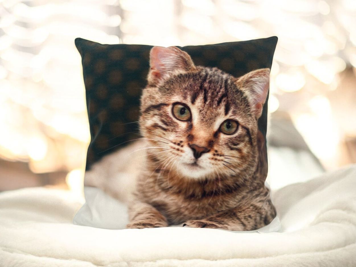 Kissen mit Katzen Motiv und Reisverschluss,
Grösse: 40cmx40cm, 
Digitaldruck einseitig