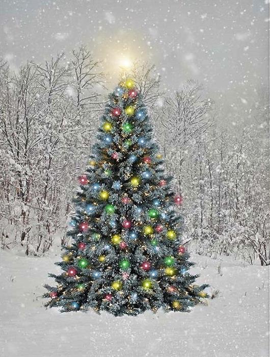 LED Bild aus Canvas 
1 LED + 30 Fibre Optics LED
Motiv:Tannenbaum