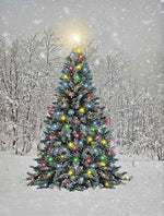 LED Bild aus Canvas 
1 LED + 30 Fibre Optics LED
Motiv:Tannenbaum