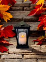 Grablaterne 25cm mit Erdspiess
Farbe: Schwarz
L:14cm B:14cm H:25cm