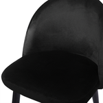 Esszimmerstuhl 2er Set VISALIA Samtstoff Schwarz