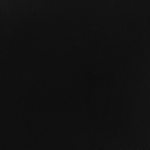 Esszimmerstuhl 2er Set BURBANK Holz Schwarz