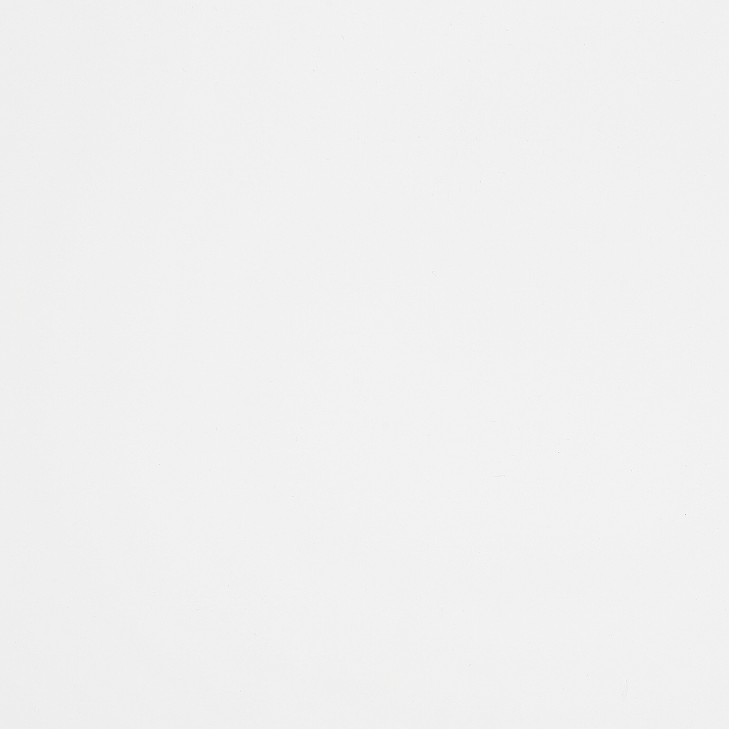 Esszimmerstuhl 2er Set BURBANK Holz Weiss