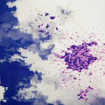 Teppich bunt 80 x 150 cm Kurzflor KADIRLI