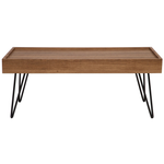 Couchtisch dunkler Holzfarbton rechteckig 100 x 60 cm WELTON