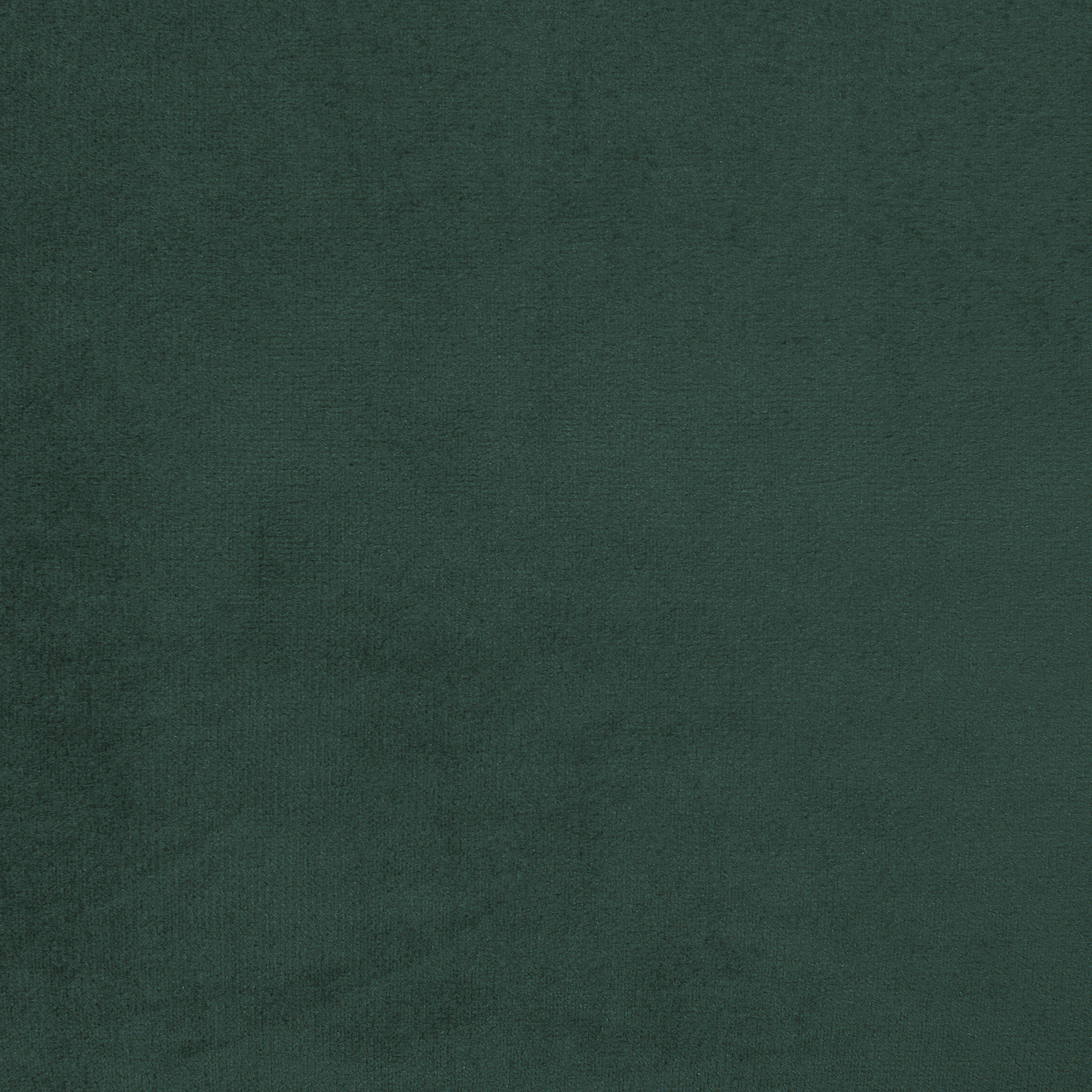 Sessel FENES Samtstoff Dunkelgrün