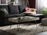 Couchtisch dunkler Holzfarbton / taupe rechteckig 100 x 60 cm WELTON