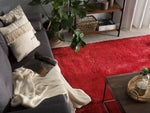 Teppich rot 200 x 300 cm Shaggy EVREN