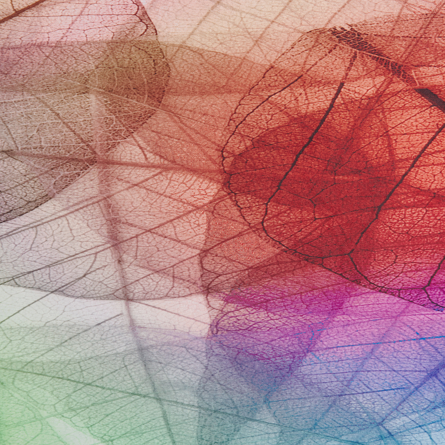 Teppich bunt 80 x 150 cm Kurzflor ANTAKYA