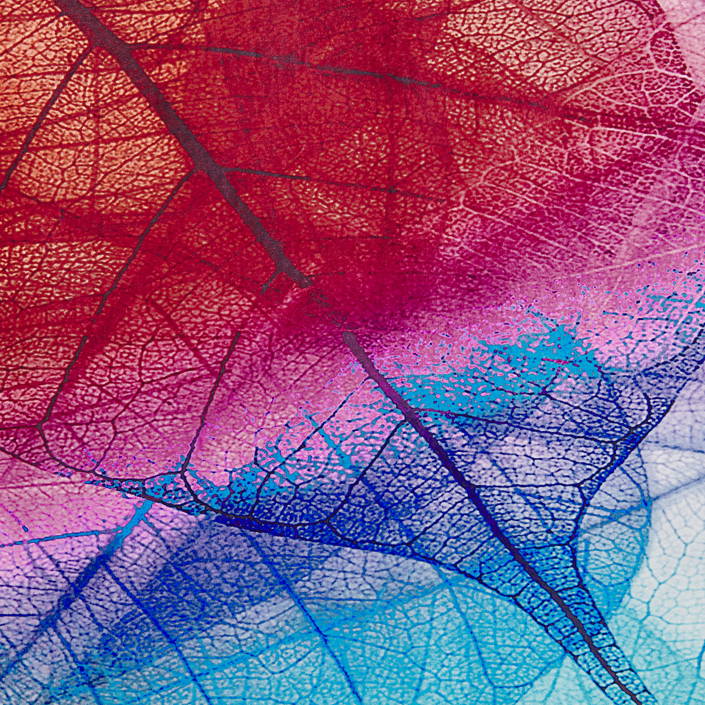 Teppich bunt 160 x 230 cm Kurzflor ANTAKYA