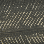 Dekoschale Aluminium silber Blatt 50 cm LILEA