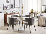 Esszimmerstuhl 2er Set AUGUSTA Samtstoff Grau
