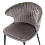 Esszimmerstuhl 2er Set AUGUSTA Samtstoff Grau