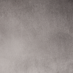 Esszimmerstuhl 2er Set COVELO Samtstoff Grau