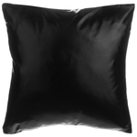 Dekokissen 2er Set ASTER 45 x 45 cm Schwarz Ohne Muster