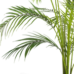 Kunstpflanze im Blumentopf 124 cm ARECA PALM