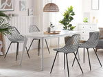 Esszimmerstuhl 2er Set CANTON Hellgrau