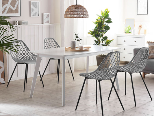 Esszimmerstuhl 2er Set CANTON Hellgrau