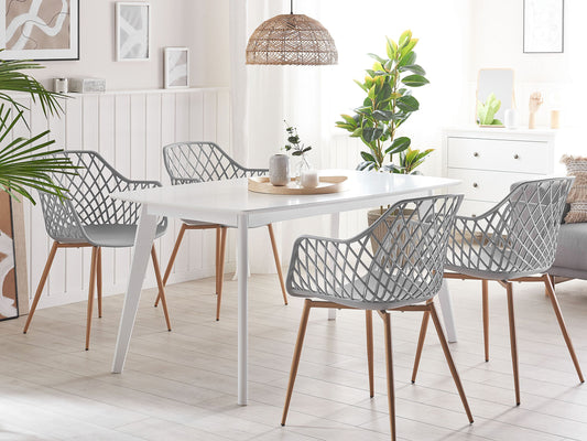 Esszimmerstuhl 2er Set NASHUA Hellgrau