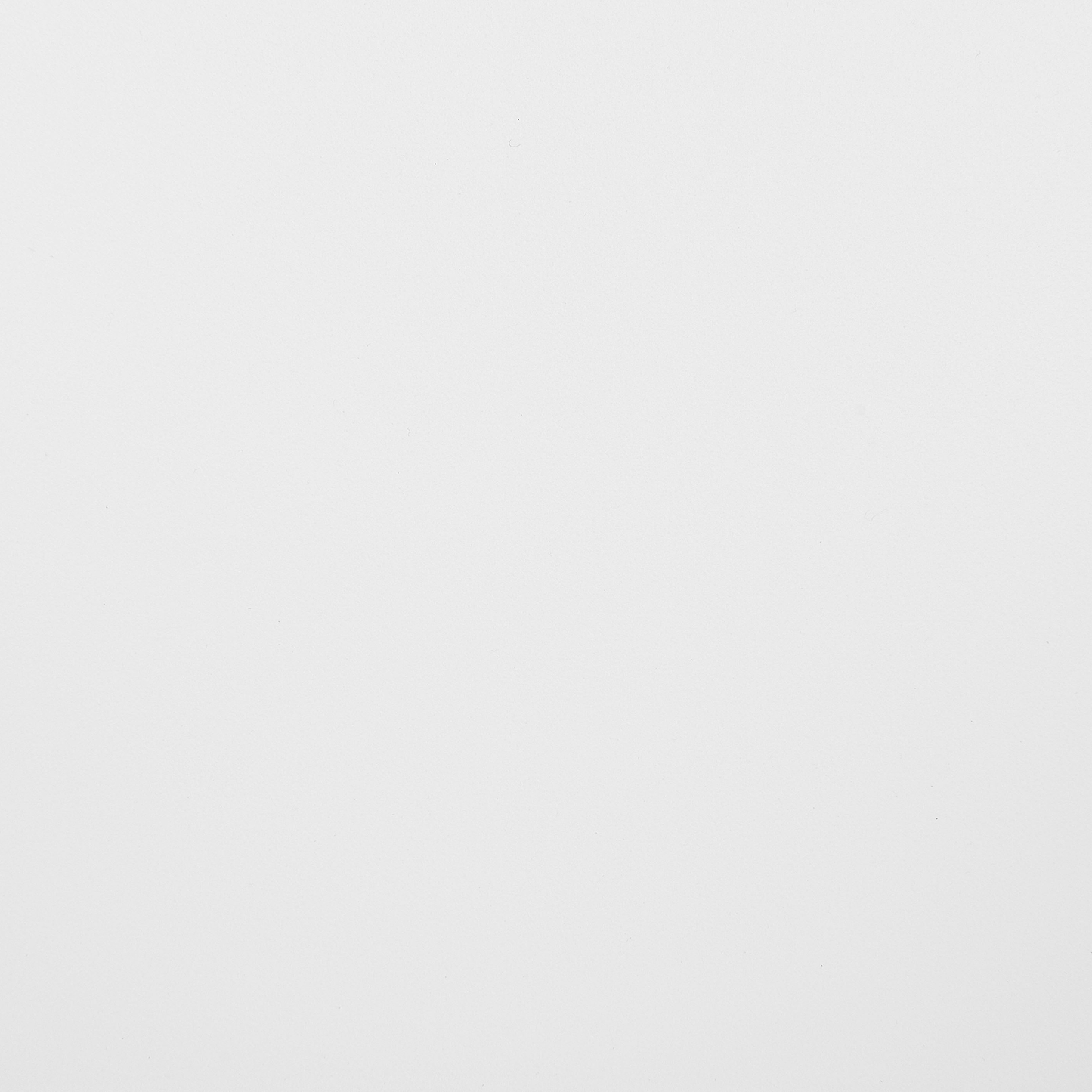 Esszimmerstuhl 2er Set BLAYKEE Weiss