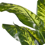 Kunstpflanze im Blumentopf 122 cm DIEFFENBACHIA