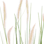 Kunstpflanze im Blumentopf 87 cm REED PLANT