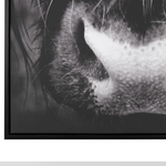 Canvas GALEATA Tiermotiv 63 x 99 cm Schwarz