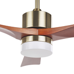 Deckenventilator mit Licht ARUWIMI mit Fernbedienung Messing